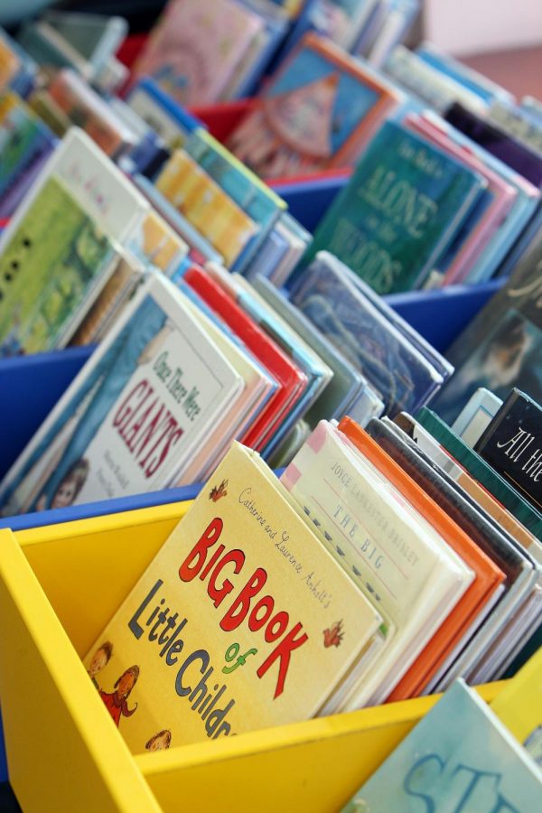 Photo displays Children books.
Photo courtesy of Wokingham Libraries/ Pixabay