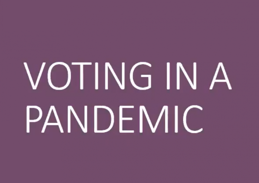 Voting in a Pandemic