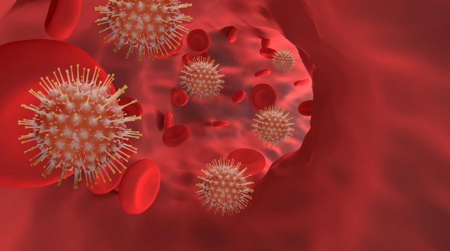 Coronavirus+spreading+through+the+bloodstream.+Photo+courtesy+of+Flutie8211%2FPixabay.