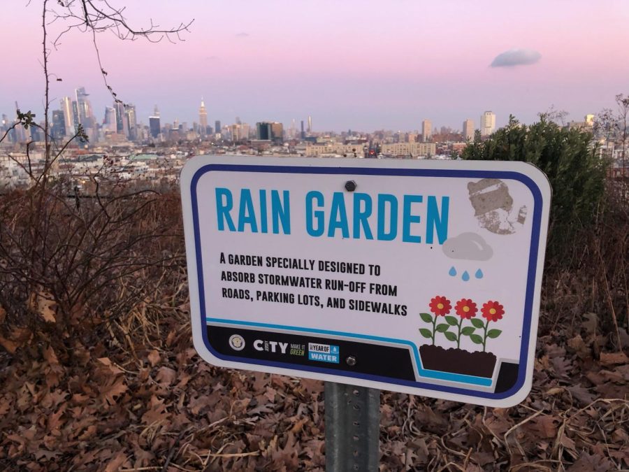 A rain garden sign in Jersey City. 